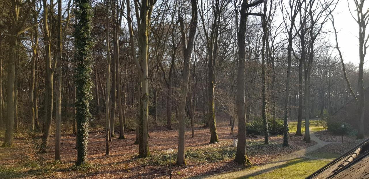 Aan de WolfsbergCeder 104アパートメント エクステリア 写真